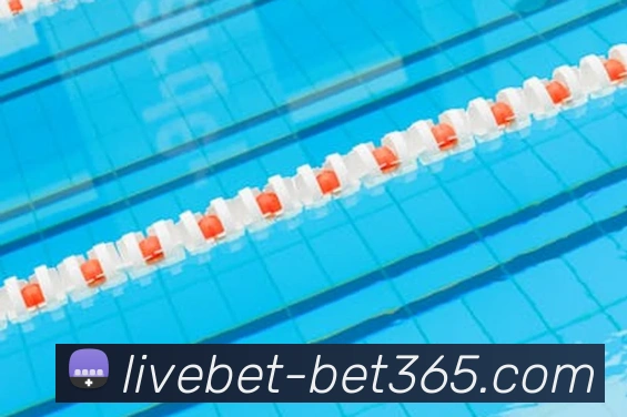 bet365平台生态图